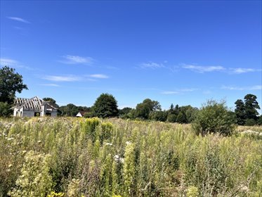 Działka 997 m² z warunkami zabudowy - dostęp do prądu działka Zieleniewo