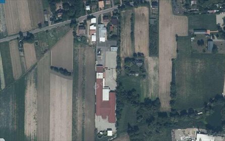 lokal użytkowy na sprzedaż 5000m2 lokal użytkowy Wróblew