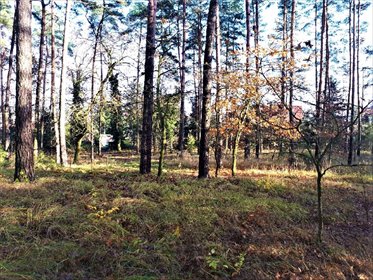 działka na sprzedaż 8450m2 działka Torzym