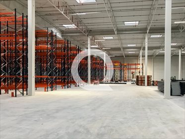Magazyn na wynajem Nowy Świat 6 909m2 Foto 3