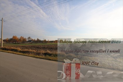 działka na sprzedaż 6558m2 działka Sobolew-Kolonia