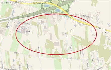 działka na sprzedaż 55000m2 działka Duchnów