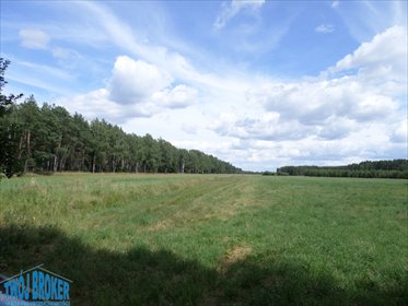 działka na sprzedaż 52800m2 działka Strzeczona, Strzeczona