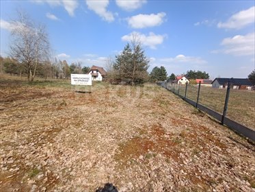 Działka pod dom z lasem i zielenią, Twardogóra działka Twardogóra