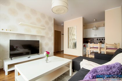 mieszkanie na wynajem 39m2 mieszkanie Poznań, Nowe Miasto, Smolna