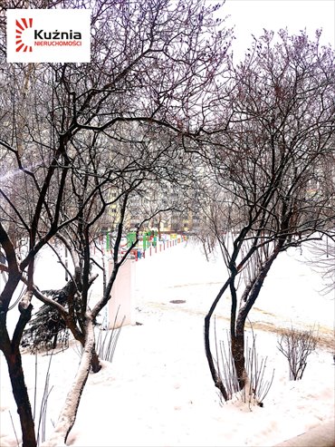 mieszkanie na wynajem 26m2 mieszkanie Warszawa, Bielany Wawrzyszew, Aleja Władysława Reymonta