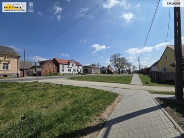 działka na sprzedaż 1000m2 działka Różańsko