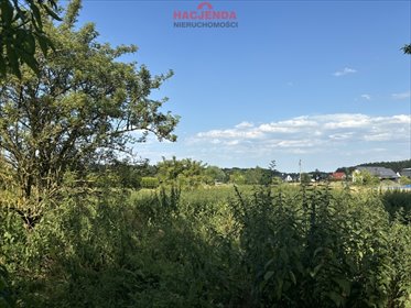 Działka 650 m² w Tanowie z mediami i planem zabudowy działka Tanowo