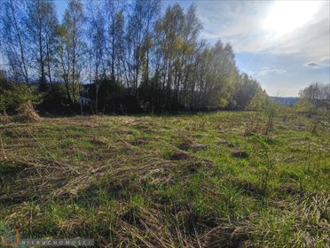 Działka rolna na sprzedaż Brzozówka Korzkiewska 5 600m2 Foto 2