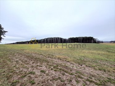 działka na sprzedaż 622m2 działka Grójec Wielki