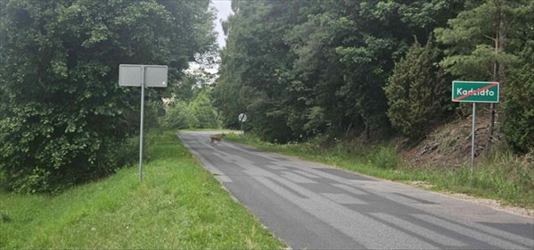 Zapraszam do zakupu działki 1810 m² z widokiem na las i rzekę działka Kadzidło