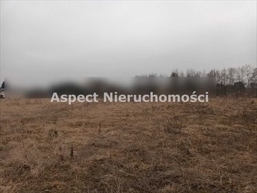 Działka budowlana na sprzedaż Żory, Baranowice 8 627m2 Foto 3