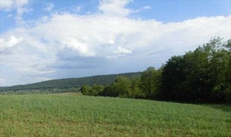 Działka rolna na sprzedaż Brzezinka 3 200m2 Foto 3
