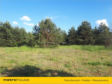 Działka budowlana na sprzedaż Wójcice, Jelcz-Laskowice 22 341m2 Foto 2