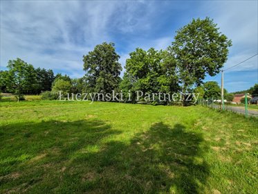 Działka 1600 m² w Płóczkach Dolnych – idealna pod dom lub inwestycję działka Płóczki Dolne