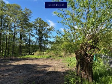 Polecam działkę 1700 m² w Osłoninie pod dom lub inwestycję działka Osłonino