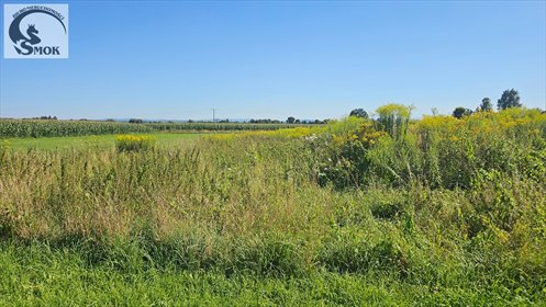 Do sprzedania widokowa działka 1134 m² pod zabudowę działka Zagacie