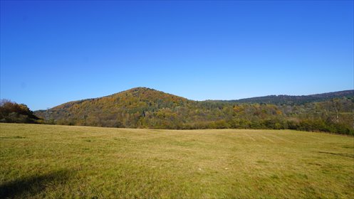 działka na sprzedaż 16500m2 działka Klimkówka