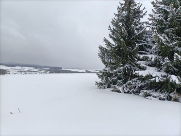 działka na sprzedaż 700m2 działka Międzylesie