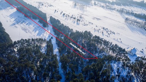 Działka 9600 m² z planem pod letnisko - zapraszam działka Anastazew