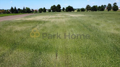 działka na sprzedaż 5737m2 działka Rawicz