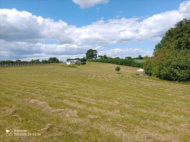 działka na sprzedaż 12500m2 działka Trzcińsko-Zdrój, Trzcińsko-Zdrój, Tchórzono  działka