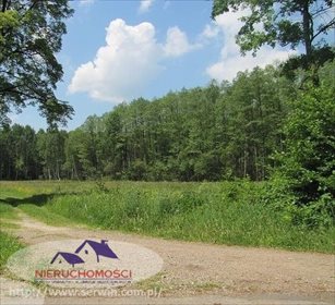 Działka budowlana na sprzedaż Dąbrowica 1 865m2 Foto 2