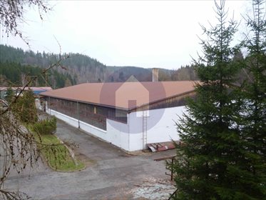 Magazyn na sprzedaż Szczytna 8 500m2 Foto 1