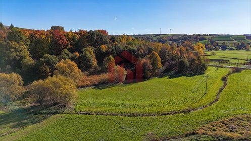 działka na sprzedaż 1000m2 działka Wielopole Skrzyńskie