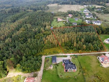 działka na sprzedaż 11303m2 działka Elbląg, Dąbrowa, Dąbrowa, Jaworowa 9e