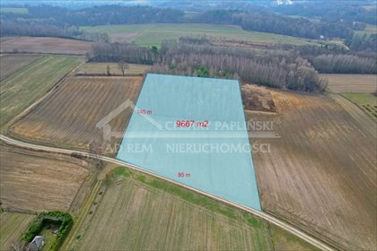 działka na sprzedaż 9667m2 działka Zawada, Zawada, Celejów, Rąblów