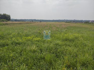Działka budowlana na sprzedaż Ochodza 5 146m2 Foto 3