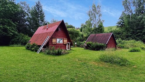 dom na sprzedaż 40m2 dom Pisary