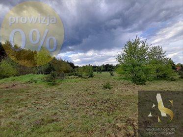 Działka budowlana na sprzedaż Tomisław 5 582m2 Foto 5