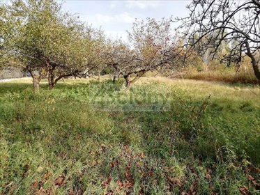 Polecam działkę 1943m² w Białołęce z planem zagospodarowania działka Warszawa, Białołęka
