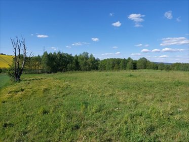 działka na sprzedaż 2852m2 działka Chrząstówka