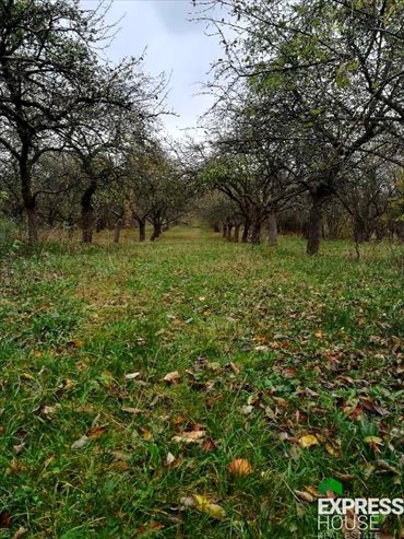 działka na sprzedaż 1050m2 działka Grajewo, Sadowa