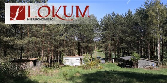 Działka budowlana na sprzedaż Biały Bukowiec 59 600m2 Foto 5