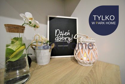 mieszkanie na sprzedaż 51m2 mieszkanie Zielona Góra, Centrum, Kupiecka
