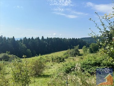 Działka 3030 m2 z warunkami zabudowy w Wysokiem działka Wysokie