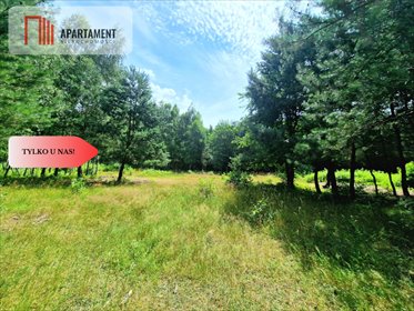 działka na sprzedaż 2217m2 działka Niedźwiedziny