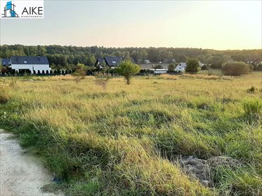 działka na sprzedaż 4318m2 działka Czpielsk, Pelargonii