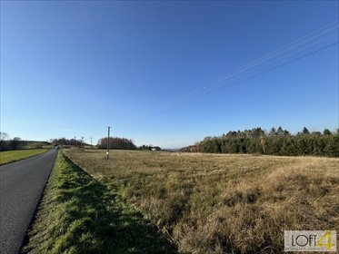 działka na sprzedaż 3000m2 działka Polichty