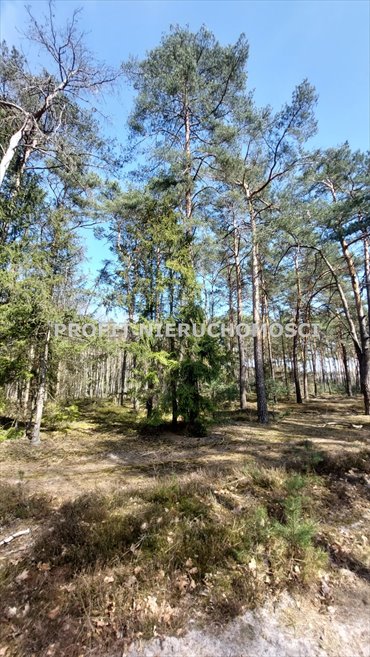 działka na sprzedaż 780m2 działka Ksawercin