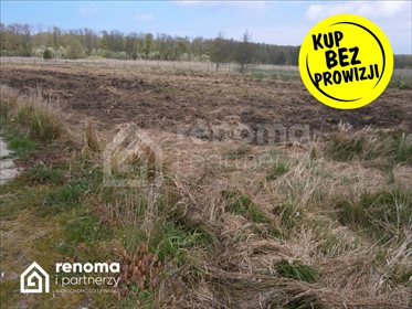 Polecam działkę 3000 m² pod dom letniskowy blisko morza działka Będzinko