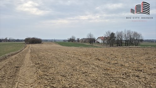 działka na sprzedaż 9548m2 działka Antoniów-Kolonia