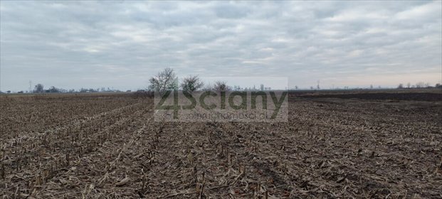 działka na sprzedaż 1132m2 działka Zaborówek