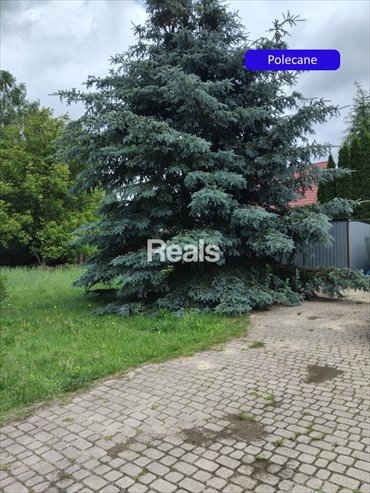 działka na sprzedaż 1092m2 działka Wielgolas Brzeziński