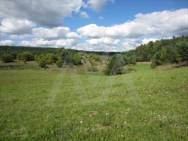 Działka siedliskowa na sprzedaż Pawłowo, Xxx 28 911m2 Foto 2