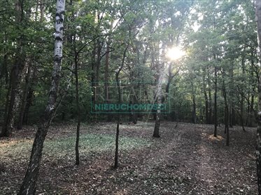 działka na sprzedaż 2458m2 działka Owczarnia